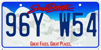 SD license plate 96YW54