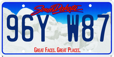 SD license plate 96YW87