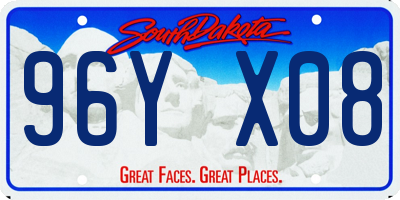 SD license plate 96YX08