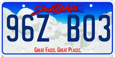 SD license plate 96ZB03