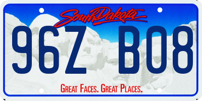 SD license plate 96ZB08