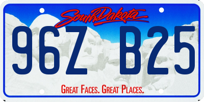SD license plate 96ZB25