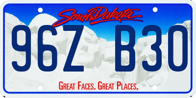 SD license plate 96ZB30
