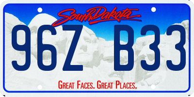 SD license plate 96ZB33