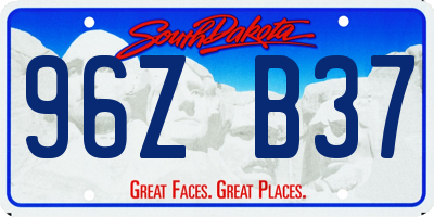 SD license plate 96ZB37
