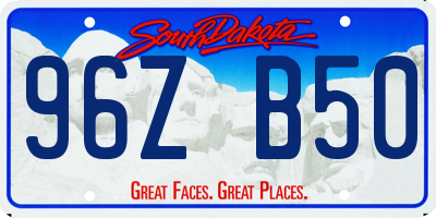 SD license plate 96ZB50