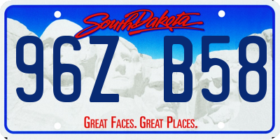 SD license plate 96ZB58