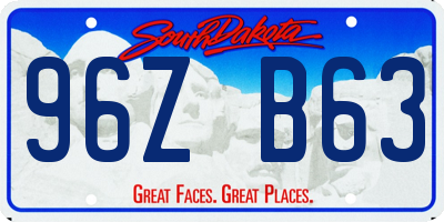 SD license plate 96ZB63