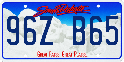 SD license plate 96ZB65