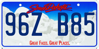SD license plate 96ZB85
