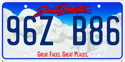SD license plate 96ZB86