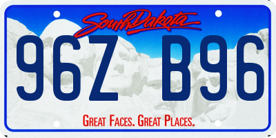 SD license plate 96ZB96