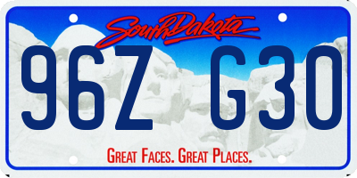 SD license plate 96ZG30