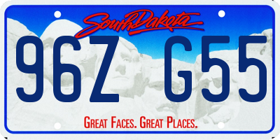 SD license plate 96ZG55