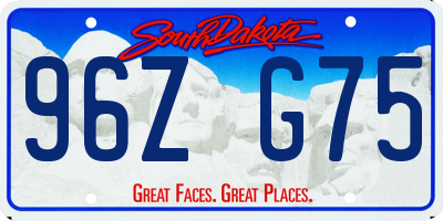 SD license plate 96ZG75