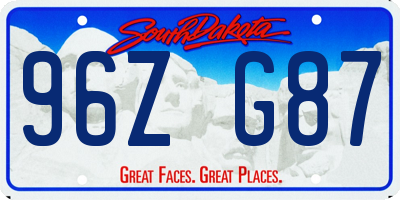 SD license plate 96ZG87