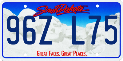 SD license plate 96ZL75