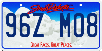 SD license plate 96ZM08