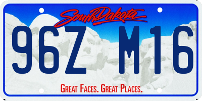 SD license plate 96ZM16