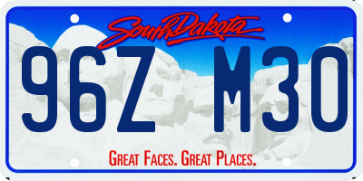 SD license plate 96ZM30