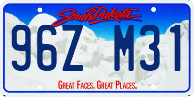 SD license plate 96ZM31