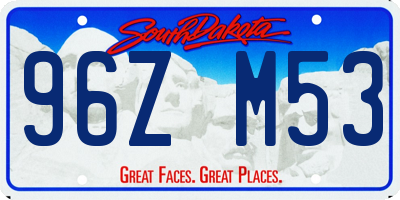 SD license plate 96ZM53