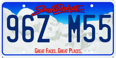 SD license plate 96ZM55