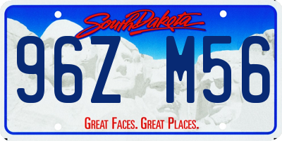 SD license plate 96ZM56