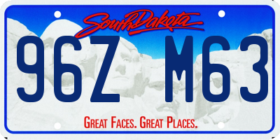 SD license plate 96ZM63