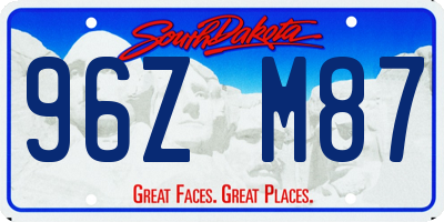 SD license plate 96ZM87