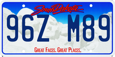 SD license plate 96ZM89