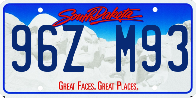 SD license plate 96ZM93