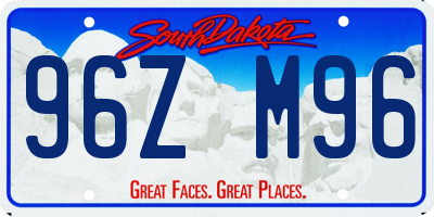 SD license plate 96ZM96