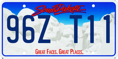 SD license plate 96ZT11