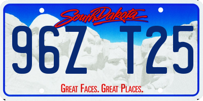 SD license plate 96ZT25