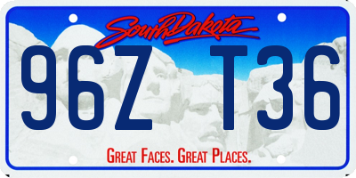 SD license plate 96ZT36