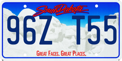 SD license plate 96ZT55