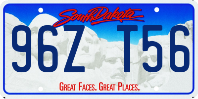 SD license plate 96ZT56