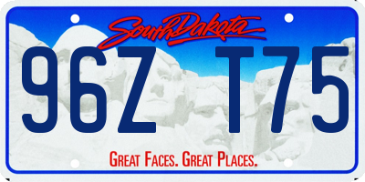 SD license plate 96ZT75