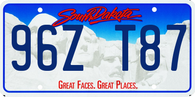 SD license plate 96ZT87