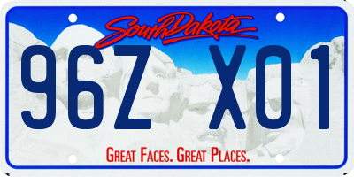 SD license plate 96ZX01