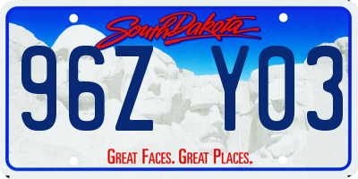 SD license plate 96ZY03