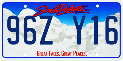 SD license plate 96ZY16