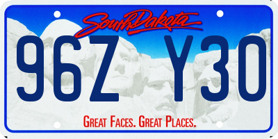 SD license plate 96ZY30