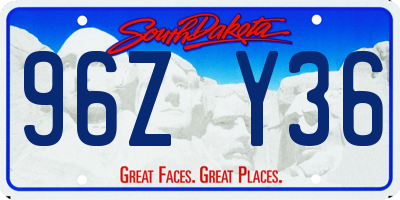 SD license plate 96ZY36