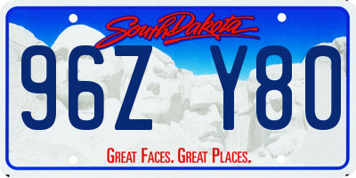 SD license plate 96ZY80