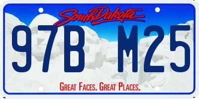 SD license plate 97BM25