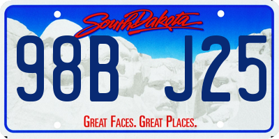 SD license plate 98BJ25