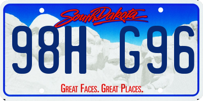 SD license plate 98HG96