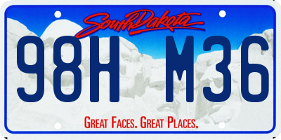 SD license plate 98HM36